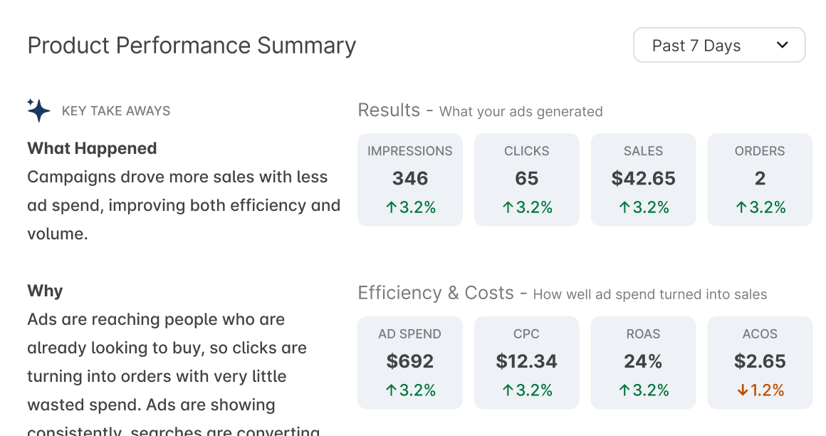 Product Performance Summary dashboard showing impressions, clicks, sales, orders metrics and efficiency costs